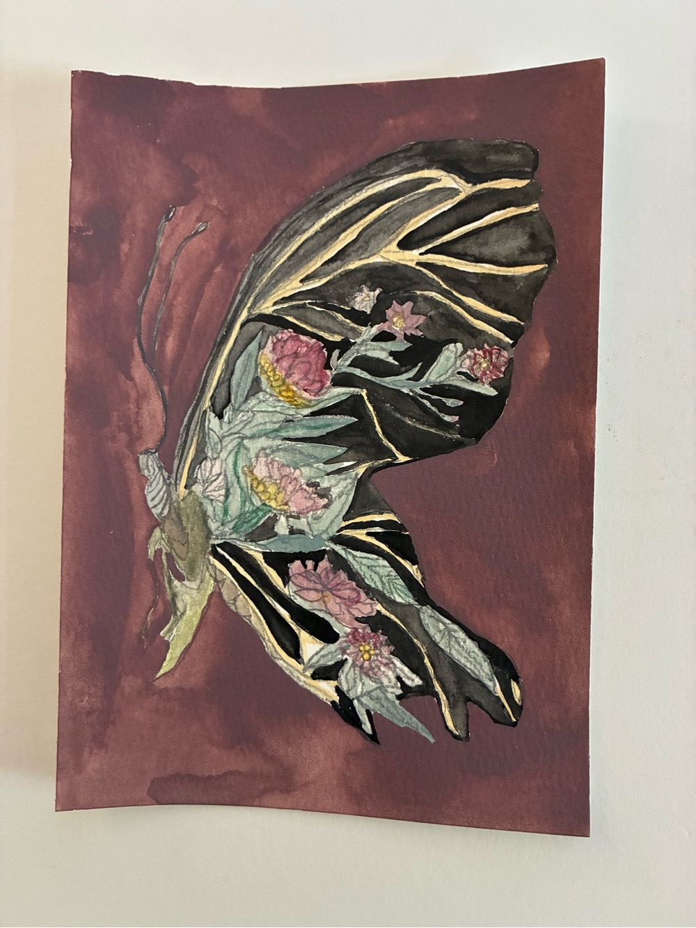 Watercolor Floral Butterfly Wall Art